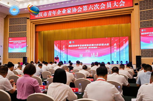 共促青商成长 重庆市青年企业家协会换届