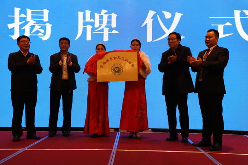 新闻资讯 驻马店新闻 驻马店广视网