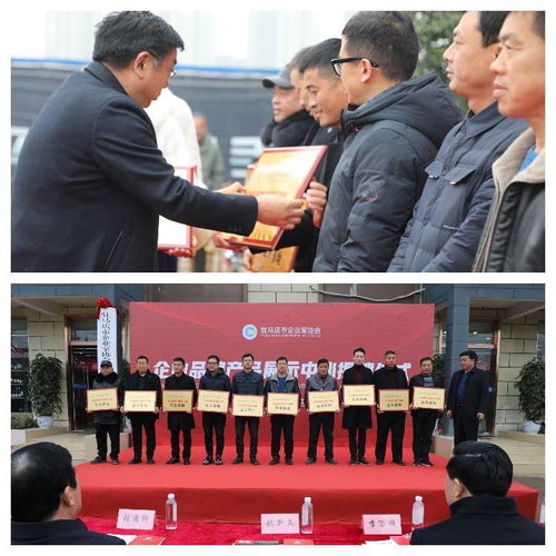 对接合作 共赢发展 驻马店市企业家协会企业品牌产品展示中心揭牌仪式成功举行