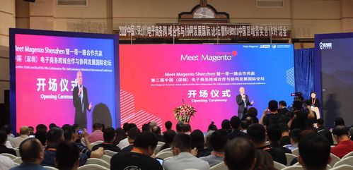 全球26国企业家齐聚第二届中国 深圳 电子商务跨域合作与协同发展国际论坛